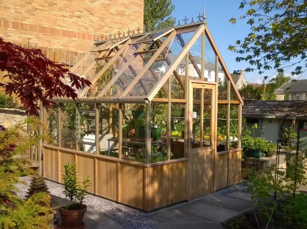 Alton Cheltenham Greenhouse in the evening sun