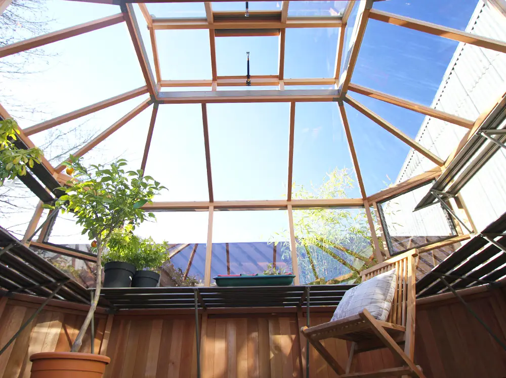 Interior view of the Alton Octagonal Greenhouse looking up to the roof showing the unique shape and height