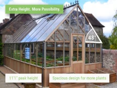 Feature image showing the tall roof and steep roof pitch allowing more interior space in the Alton Westminster Greenhouse
