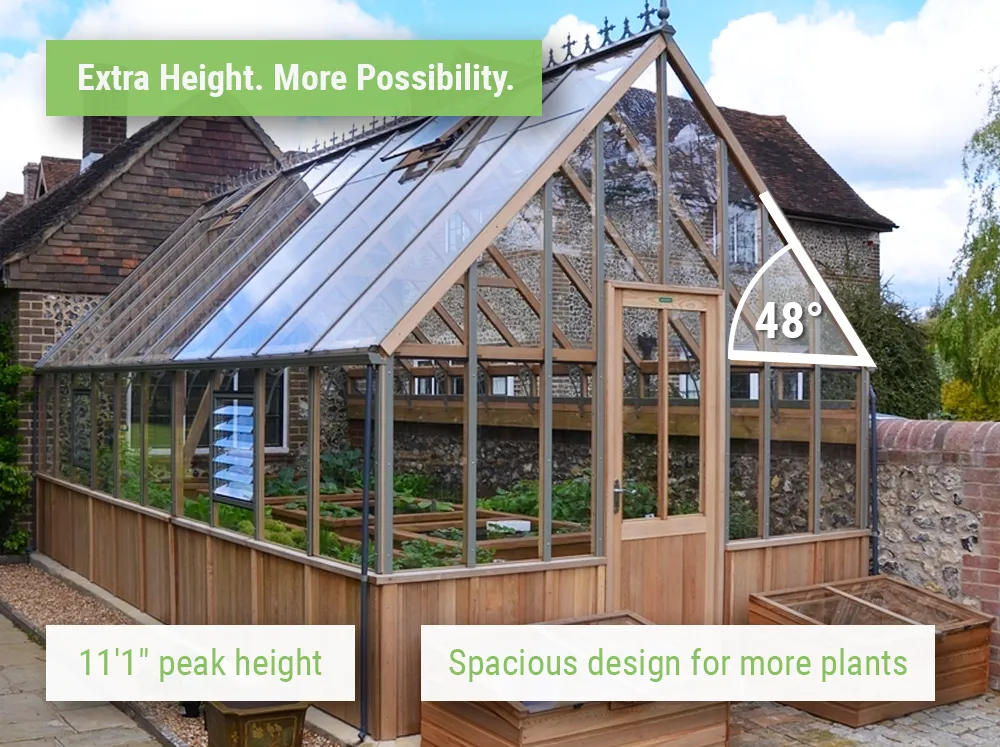 Feature image showing the tall roof and steep roof pitch allowing more interior space in the Alton Westminster Greenhouse