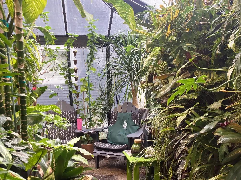 Interior view of the Janssens Cathedral Glass Greenhouse with lots of plants and seating