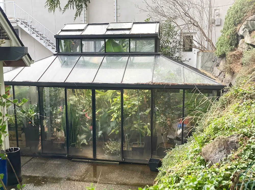Janssens Cathedral Glass Greenhouse in Black filled with plants, set up in a small backyard