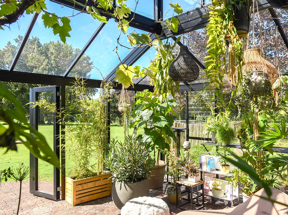 Interior shot of the Janssens Cathedral Glass Greenhouse with uninterrupted views of the backyard outside
