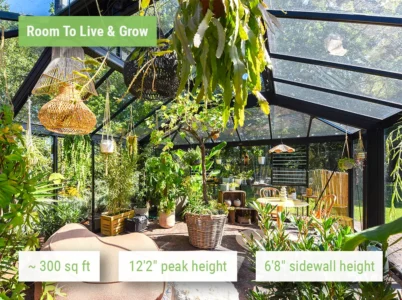 Feature image of the Janssens Cathedral Glass Greenhouse showcasing the large interior space