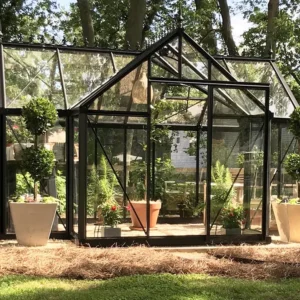 Front of the Janssens Junior Victorian Orangerie set up in a backyard on a sunny day