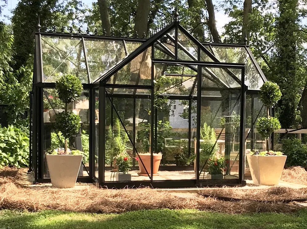 Front of the Janssens Junior Victorian Orangerie set up in a backyard on a sunny day