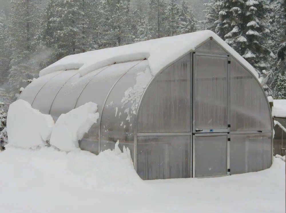 Riga polycarbonate greenhouse in the snow. 