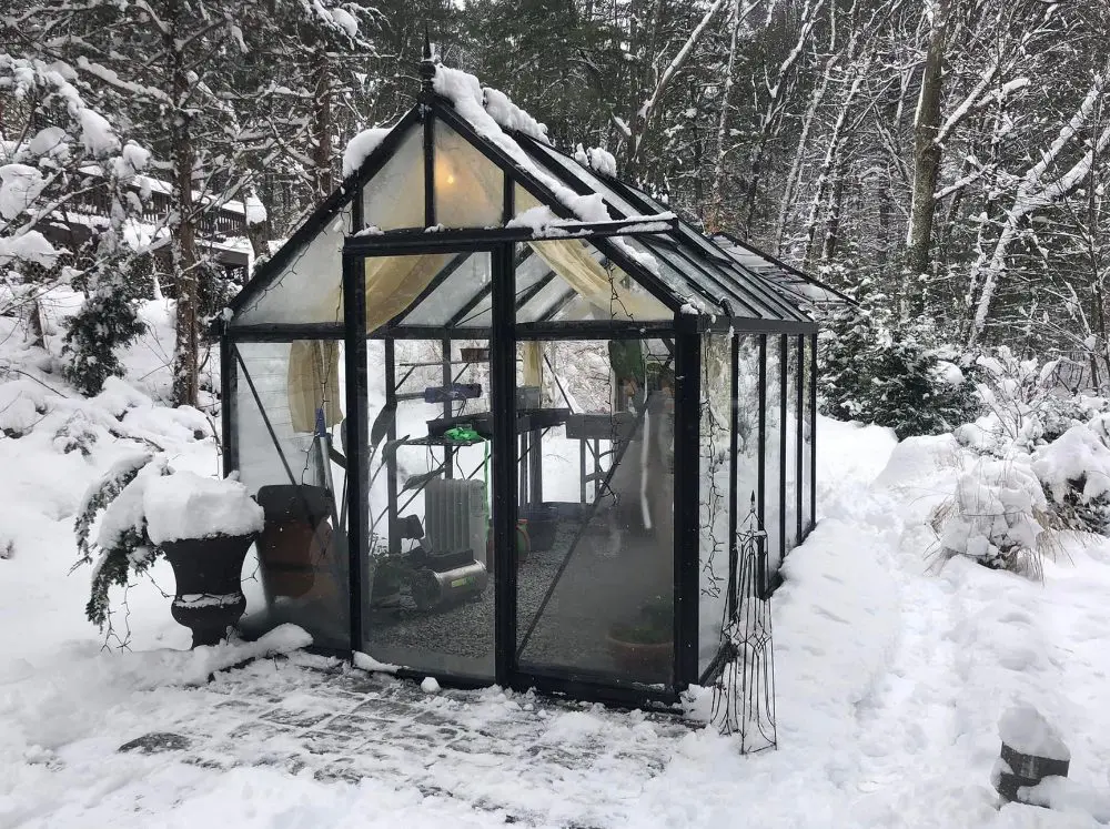 Exterior of Janssens glass greenhouse in snow.