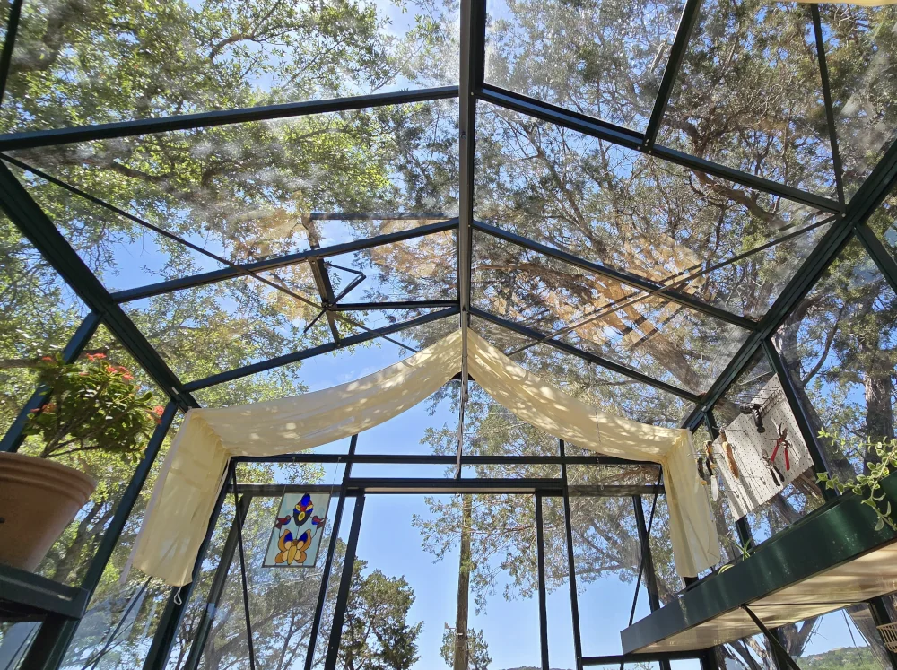 Interior shot angled upward towards the crystal clear glass ceiling of a janssens greenhouse