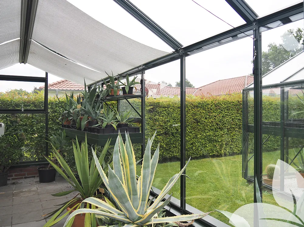 Interior of a glass greenhouse with half of it shaded by shade cloth