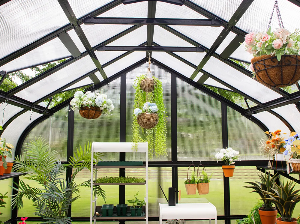 Interior of the Vego Pacific Greenhouse with hanging pots and shelves