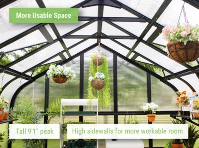 Feature image showing the interior of the roomy Vego Pacific Greenhouse