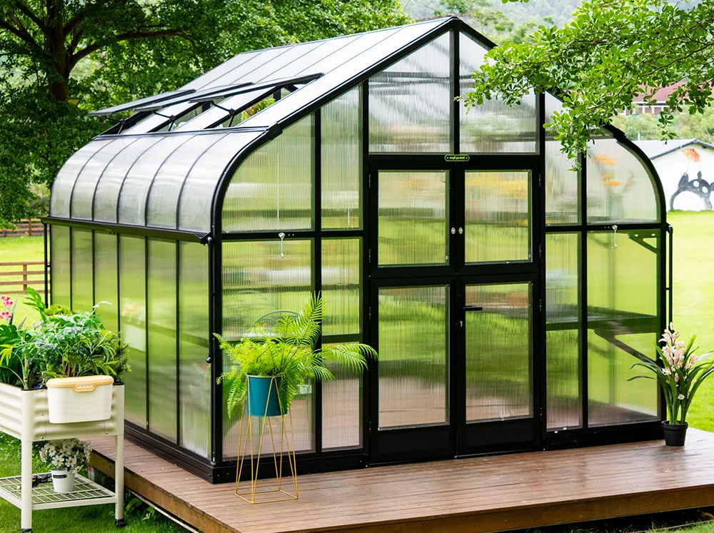 Frontal view of the whole Vego Pacific Greenhouse greenhouse with its curved roof and black framing