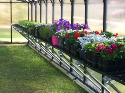 MONT Foldable Work Station Kit loaded with plants in a MONT Greenhouse