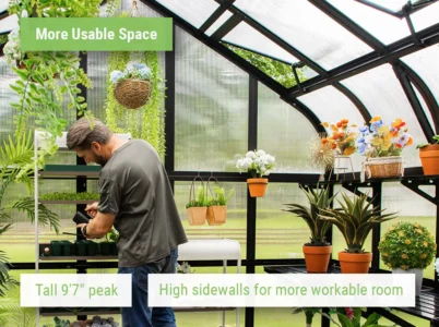 Feature image of the Vego Grand Pacific Greenhouse interior showing the height and and open work space
