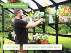 Interior shot of a man in the Vego Grand Victorian Greenhouse showing how tall the greenhouse is