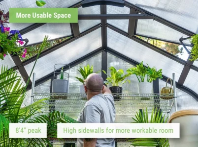Feature image of the Vego Pacific 8.5 Greenhouse showcasing the interior and it's roomy feel
