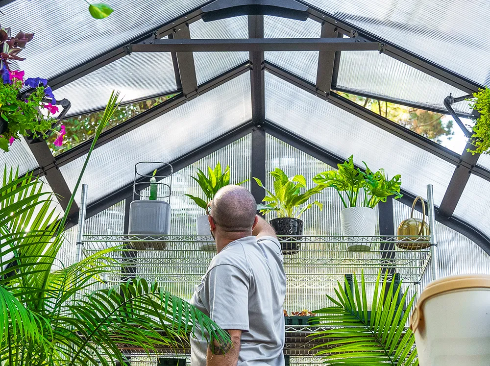 Interior view of the Vego Pacific 8.5 Greenhouse with a man reaching for a plant in a shelf