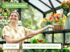 Woman inside the Vego Victorian 8.5 Greenhouse showing how tall it is