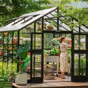 Vego Victorian 10.5 Greenhouse