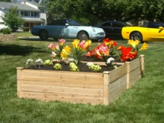 Eden Raised Garden Bed - Double - 18 inch in a yard with cars in the background