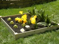 Eden Raised Garden Bed - Single - 5.5 inch with plants