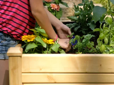 Close-up of a person gardening on the Eden Raised Garden Table & Mini Greenhouse standing up without bending over
