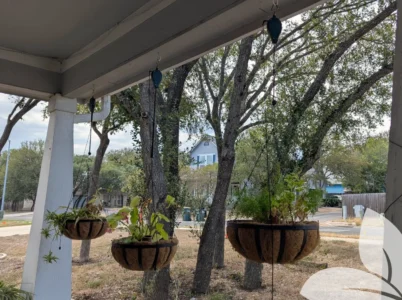 Three hanging pots on a front porch installed with the Plant Caddie Retractable Plant Pulley for easy watering