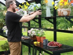 Vego Fixed Shelving (top and bottom) installed in a Vego greenhouse with pots and decor, a man placing pot on shelf